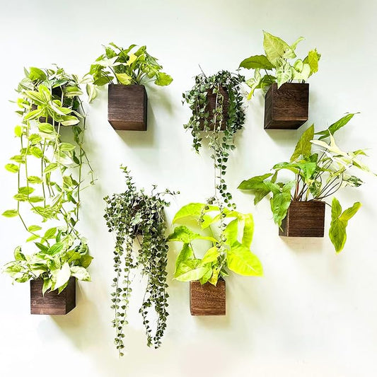 LaLaGreen Wood Planter Boxes for Plants (8 Pack, 4x4 Inch) Small Square Wall Mounted Planters for Indoor Plant, Herb Wooden Box Hanging Flower Pot Plant Holder Outdoor Fence Vertical Garden Home Decor