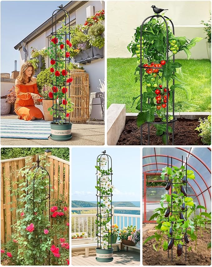 2 Pcs Garden Trellis for Climbing Plants, 6.2 Ft Rustproof Metal Pipe with Heavy Duty Plastic Coated, Garden Outdoor Indoor Potted Plant Support, Obelisk Garden Trellis for Climbing Vine
