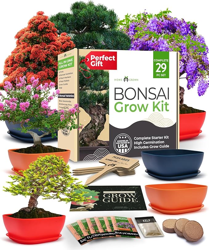 Bonsai Tree Kit - Gifts for Men & Women (Master Kit)