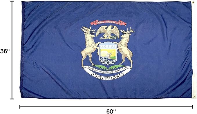 FlagSource Michigan Nylon State Flag, Made in the USA, 3x5'