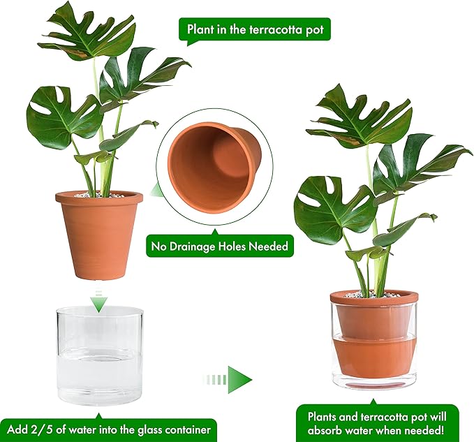 D'vine Dev 6 Inch Design Self Watering Pot for Indoor Plants, Terracotta Planter with Cylinder Glass Cup, 37-X-B-1