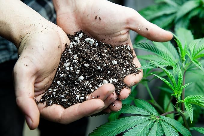 Organic Autoflower Plants Potting Soil Mix - Perfect Balance of Nutrients, Drainage, and Aeration for Thriving Autoflower Plants- 3 Quart