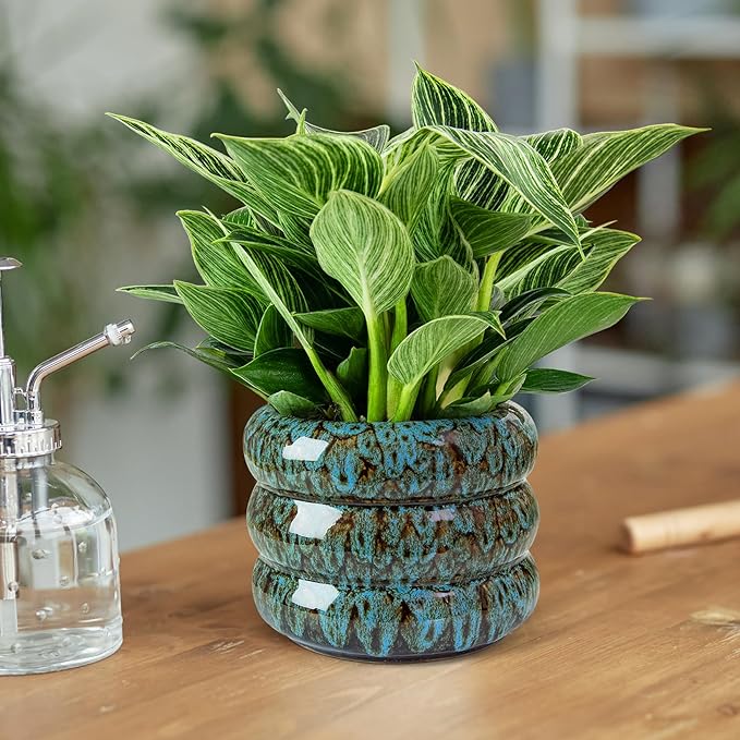 Ceramic 6 inch Plant Pot - Planter for Indoor Plants with Drainage Hole, Flower Pots for Orchid, Succulent,Outdoor Plants, Modern Glaze Planters for Home Office Decor Gift