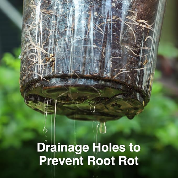 Bonviee Nursery Pots for Plants, 30-Pack 5-Inch Plastic Seedling Pots with Drainage Holes, and 10 Plant Labels, Ideal for Seed Starters and Flowers -Clear