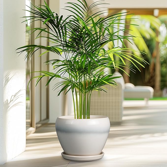 Ceramic Planter - 8 Inch Plant Pot with Drainage Hole and Saucer, Glaze Round Flower Pot for Home Garden Patio Office, White