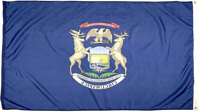 FlagSource Michigan Nylon State Flag, Made in the USA, 4x6'