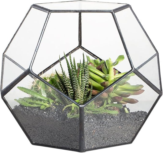 NCYP Small Open Terrarium Planter - 6.89" x 6.89" x 5.9" Pentagon Geometric Glass Container Pot for Succulents, Air Plants - Home Garden Tabletop Miniature Decor, Black (No Plants)