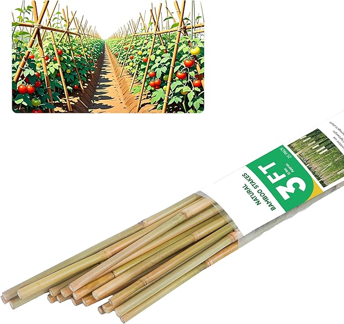 3ft Natural Bamboo Plant Stakes for Tomatoes, Beans, Flowers, Potted, Climbing Plants 25pcs