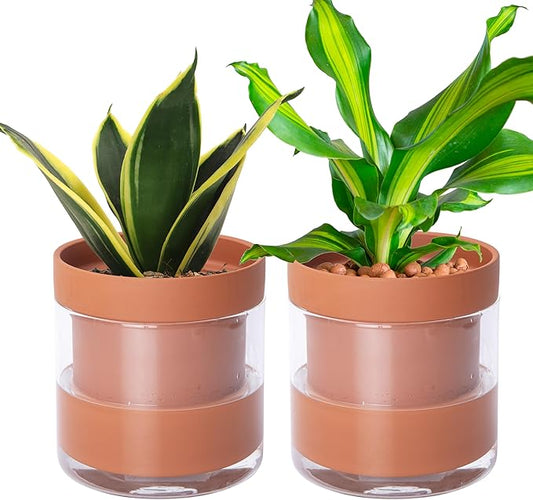 Phoenix Vine 6 Inch Self Watering Planter Pot, Terracotta Clay Pot with Glass Reservoir for Indoor Plants, Herbs, Flowers, Set of 2, 52-A-F-2