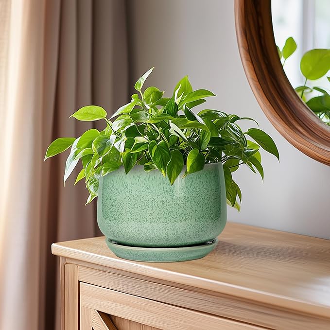 G EPGardening Ceramic Pots for Plants - 6 Inch Plant Pot with Drainage Hole and Saucer, Modern Ceramic Planter for Indoor Outdoor, Round Flower Planter, Gifts for Plants Lovers, Home Decor, Green