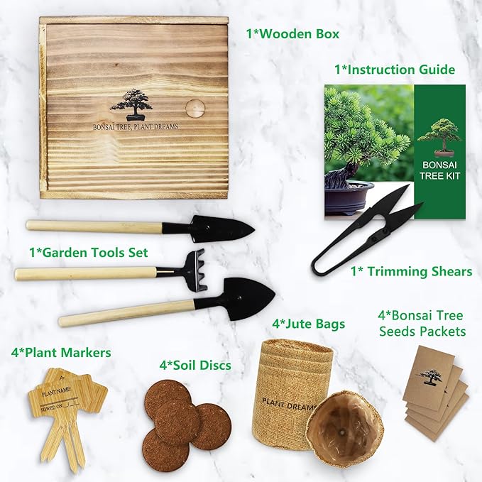 Bonsai Tree Kit – DIY Japanese Bonzai Trees with All-in-One Indoor Plant Growing Tools & Planters – Unique Gardening Gifts for Women, Men & Kids