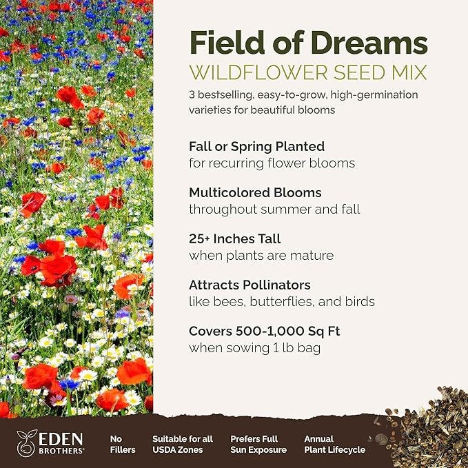 Eden Brothers Field of Dreams Flower Mixed Seeds for Planting, 1 lb, 480,000+ Seeds with German Chamomile, Cornflower | Attracts Pollinators, Plant in Spring or Fall, Zones 3, 4, 5, 6, 7, 8, 9, 10