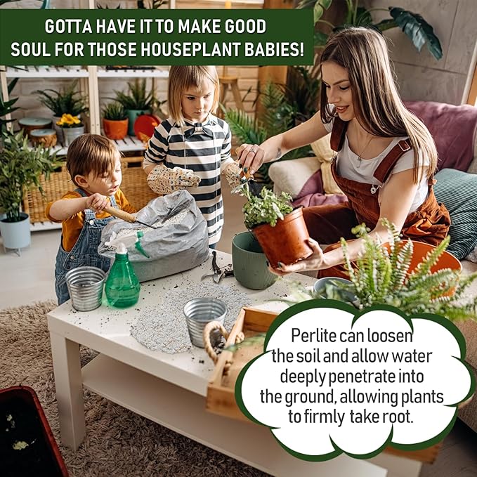 50QT Horticultural Perlite Bulk, Organic Perlite for Plants, Course Perlite for Gardening, for Plants Indoor, for Houseplants, to Promotes Soil Root Growth, and Water Drainage and Plant Growth(3-6mm)