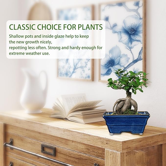 Bonsai Pots Shallow Succulent Planters for Live Bonsai Trees Set of 2, 6.3" Ceramic Pot for Succulents Indoor with Drainage Hole, Outdoor Cactus Plant Bonsai Pot，Ceramic Flower Pot