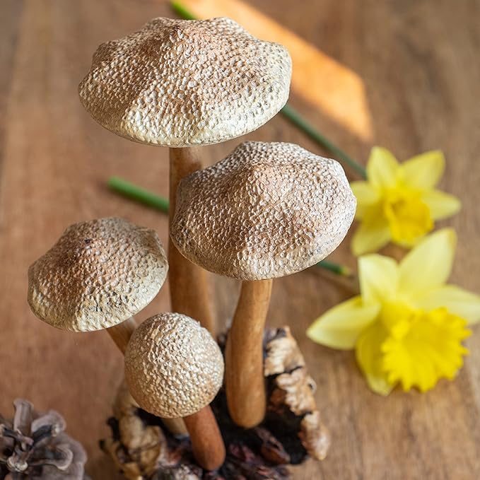 Curawood Wooden Mushrooms Sculpture for an Ornate Touch - Handcrafted 9" Mushroom Statue with Intricate Details - Authentic Garden Mushrooms Decorative Centerpiece - Artisan Cottagecore Mushroom Decor