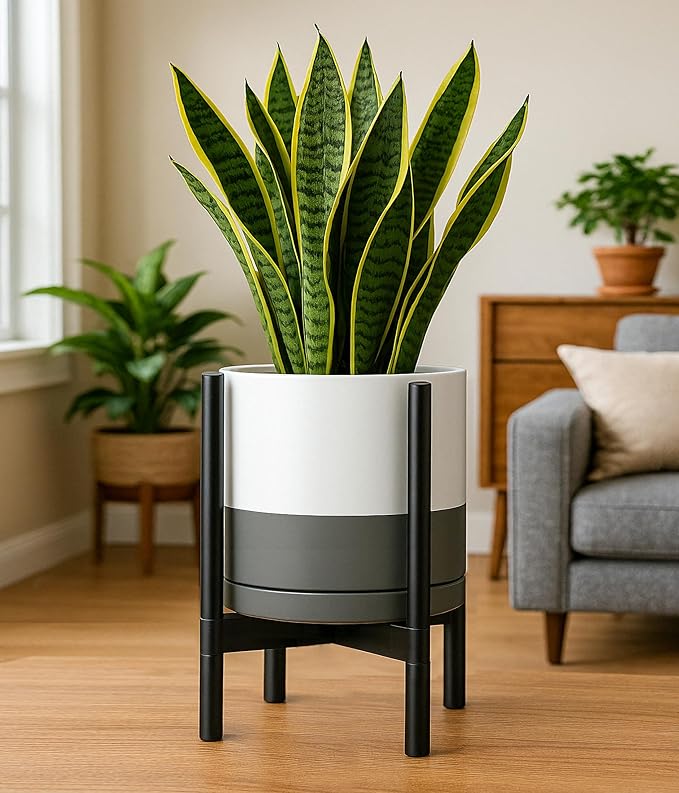 D'vine Dev Ceramic Planter with Ebony Stand - 12 Inch Modern Round Flower Pot with Wood Planter Holder, White/Grey, 55-B-H-6