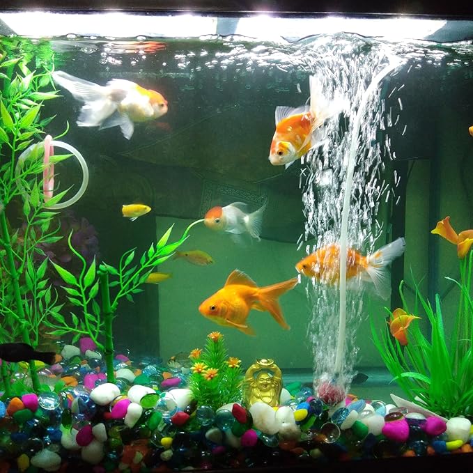 1/4" x 3/8" Clear Plastic PVC Tubing 5ft Flexible Vinyl Tube, [for Garden Irrigation, Water Hose, Fish Tank, Aquarium] - 6.4x9.5mm