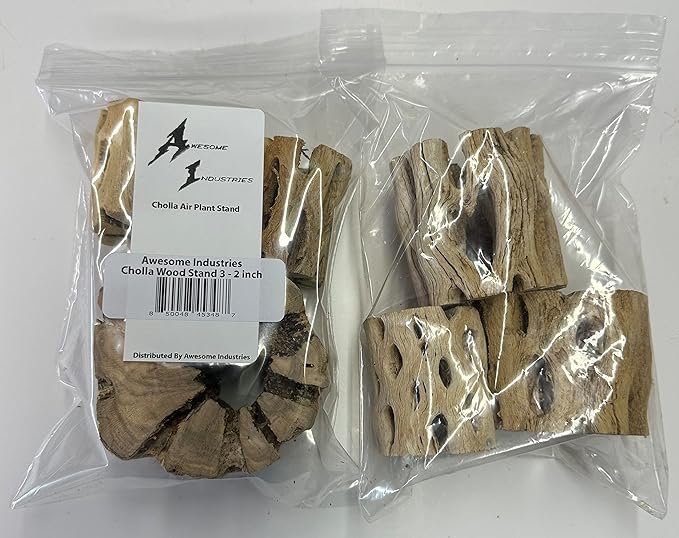 3 Natural Cholla Wood Air Plant Display Holders 2 inch Individually Unique Round Decorative Stands