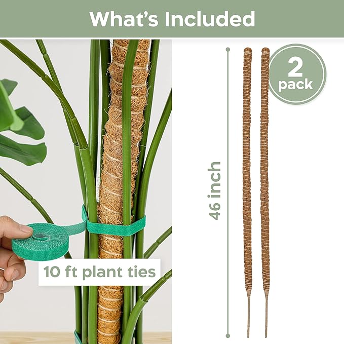 2 Pack 46'' Bendable Moss Pole Monstera Plant Support for Climbing Indoor Plants - Stakes for Potted Climbers - Tall Sticks Indoor Trellis for Houseplants - Accessories for Monstera Pot