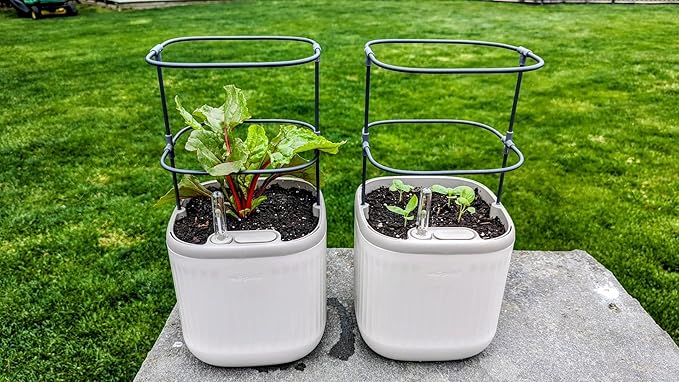 Vego garden Mini Planter Indoor Pots with Trellis Self-Watering Herb Countertop Planter for Climbing Vegetables Flowers Mint Plants Cage- Cream White