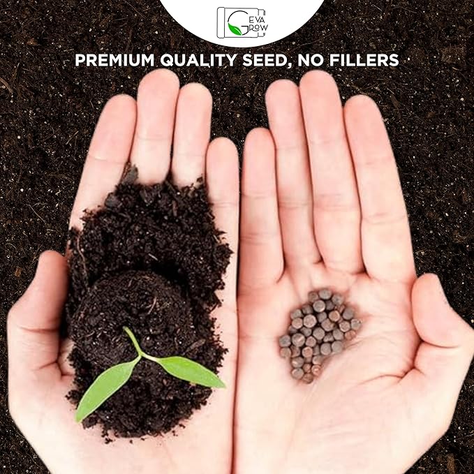 Mini Wildflower Seed Shaker - Save The Bees Seed Mix, by GevaGrow | 80,000+ Seeds | Pollinator & Bee Attracting Flower Seeds Bulk for Planting in Pots & Outdoor Gardens | 2 Ounce