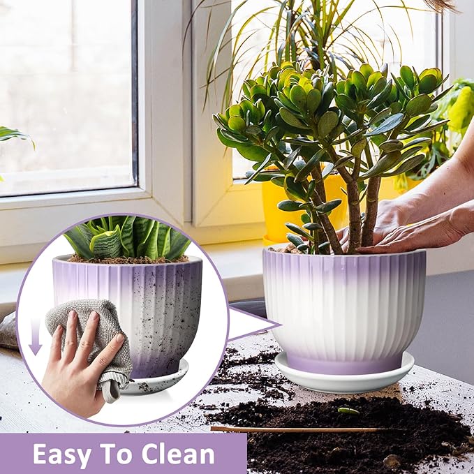 8 Inch Plant Pot, Ceramic Planter with Drainage and Saucer, Ceramic Pots for Plants, Indoor Plant pots,Ceramic Flower pots(Purple + White, Plants NOT Included)