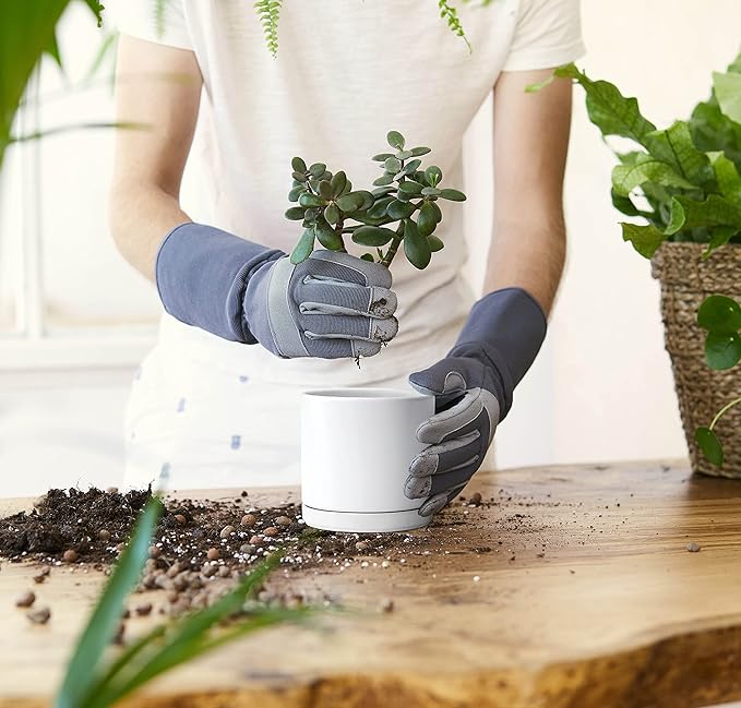 D'vine Dev Ceramic Planter Pot with Drainage Hole and Saucer, Indoor Cylinder Round Flower Pot, 4.6 Inch, White, 94-O-B-1