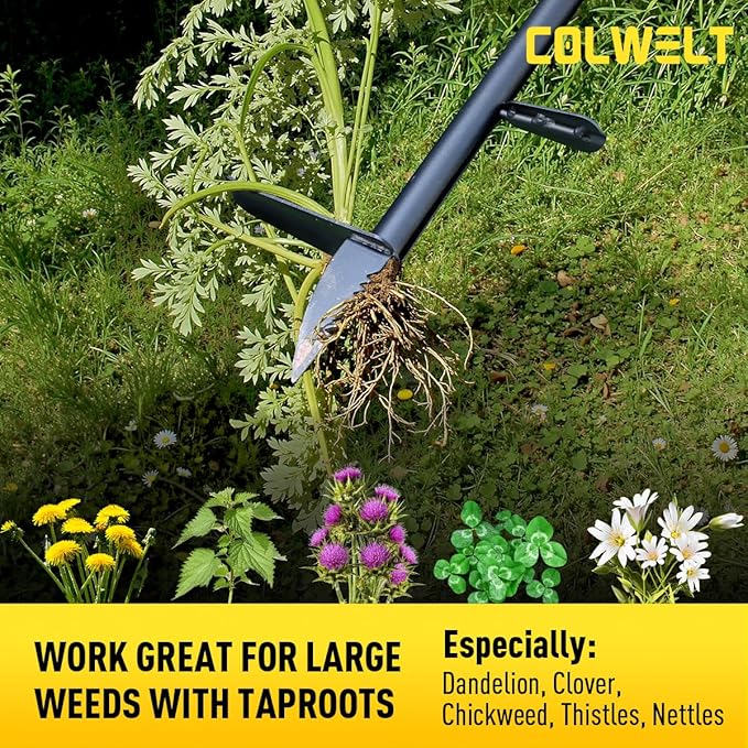 Colwelt Weed Remover Tool 39’’, Weed Puller Root Remover with Thick Steel Claw, Long Handled Weeding Tool with Easy Foot Ejector, Stand Up Garden Weeder Tool for Lawn Grass Dandelion Removal