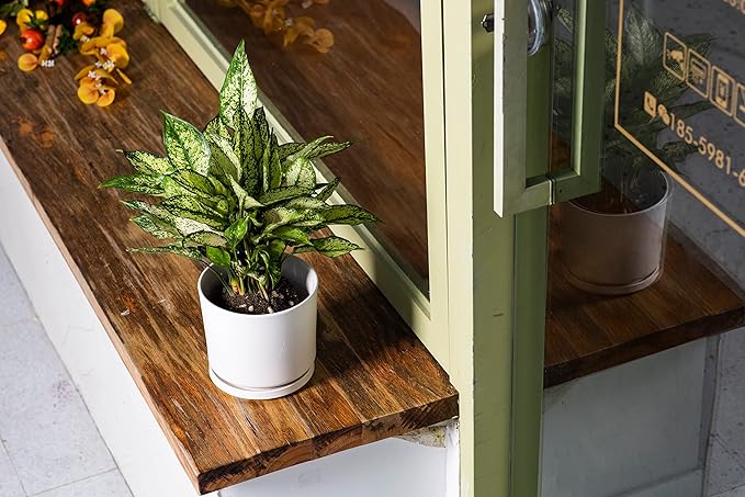 Ekirlin 7 inch Plant Pots,Ceramic Flower Planters Indoor,Modern Succulents Containers with Drain Hole Saucer,Decorate Home,Office & Outdoor (White)