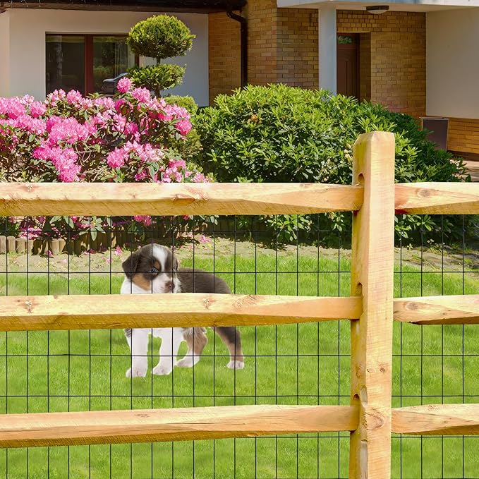 Black PVC Coated Welded Wire Fence 24 Inch x 50 Foot, 2 Inch x 4 Inch 15GA, Garden Border Fencing Roll Vinyl Coating Metal Wire Mesh Hardware Cloth for Yard Vegetable Plant Protection