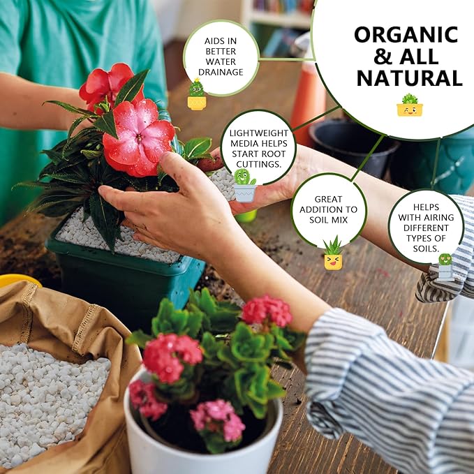 30QT Horticultural Perlite Bulk, Organic Perlite for Plants, Course Perlite for Gardening, for Plants Indoor, for Houseplants, to Promotes Soil Root Growth, and Water Drainage and Plant Growth(3-6mm)