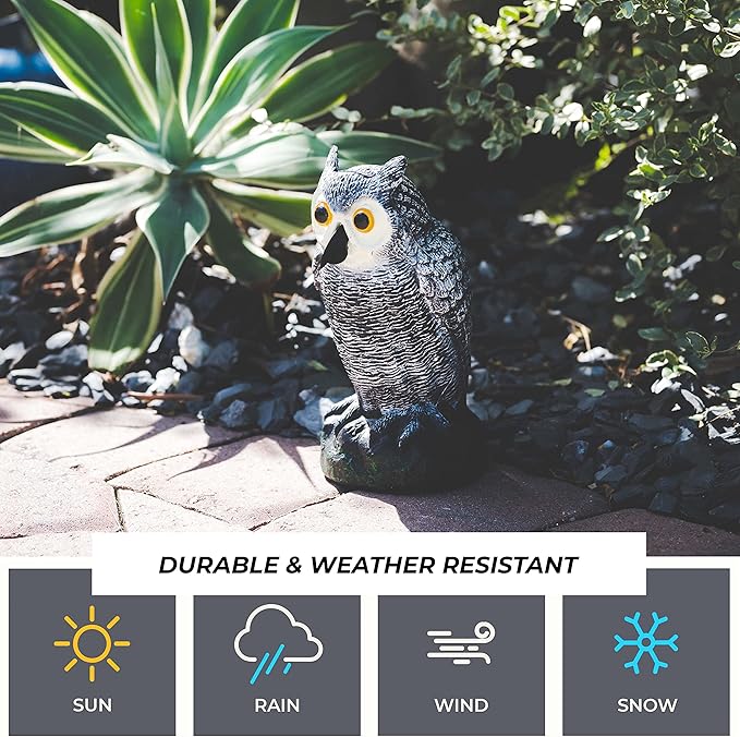 Galashield Owl Decoy | Plastic Fake Owls | Owl Statue for Garden & Outdoors [Set of 3]