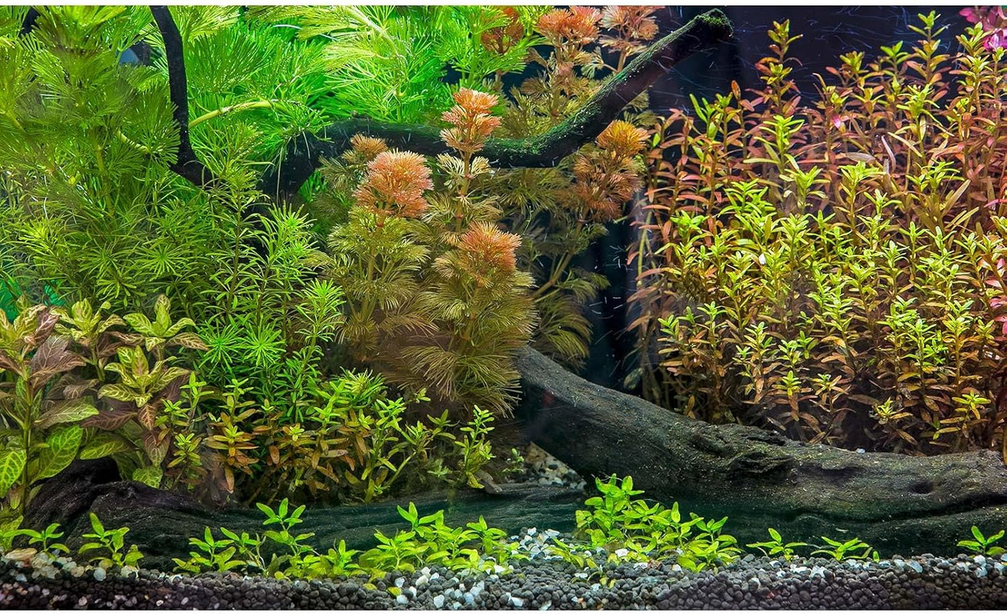 Aquarium Backdrop Underwater Grass Leaves with Pebbles Exquisite Aquarium Background Vivid Green Aquatic Plant Stone River Bed Fish Dead Wood Fresh Leaves Tank Background Decors Vinyl 60x24in