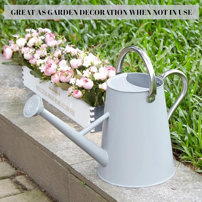 1.5 Gallon Watering Can for Outdoor Plants,Large Metal Plant Watering Pot with Removable Spout,Flower Garden Water Can Watering Pot,Galvanized Steel Watering Can with Stainless Steel Handles，Grey