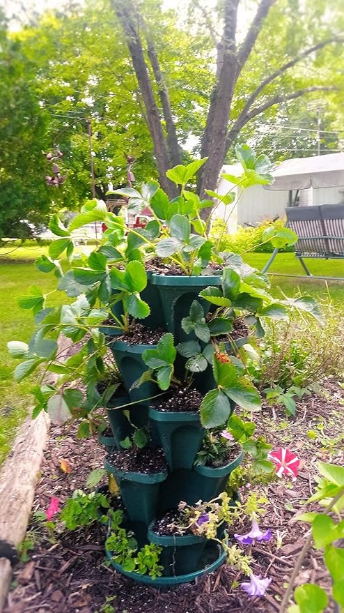 Mr. Stacky 1305-HG 5-Tier Stackable Strawberry, Herb, Flower, & Vegetable Planter - Vertical Gardening Indoor / Outdoor Stacking Garden Pots Hunter Green, 22.5 Quarts