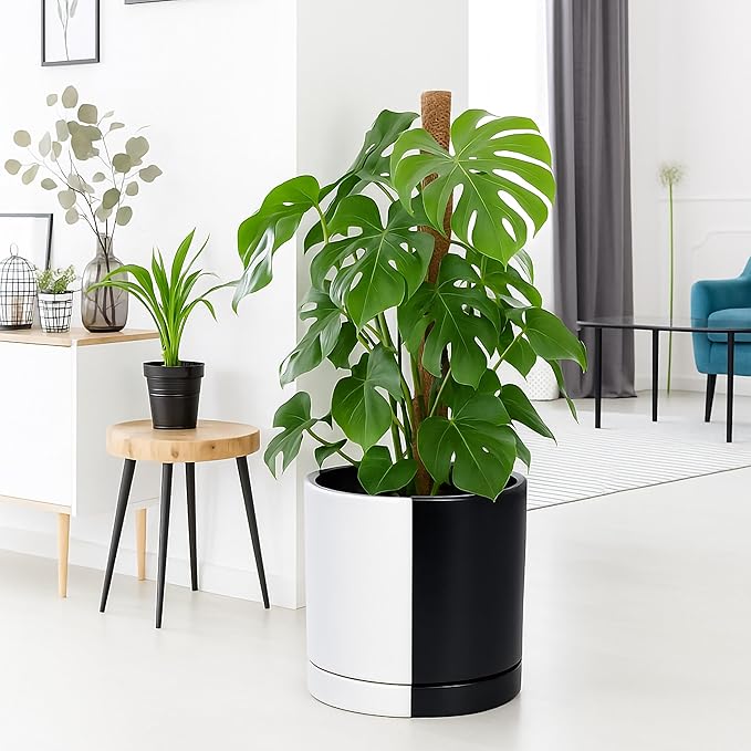 D'vine Dev 12 Inch Ceramic Planter Pot with Drainage Hole and Saucer, Indoor Cylinder Round Planter Pot, Split Monochrome Black & White, 94-O-F-0