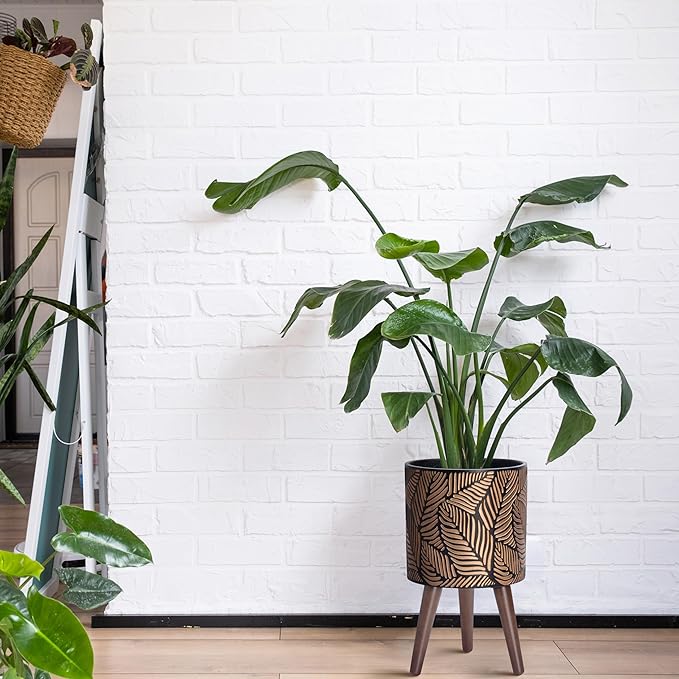 D'vine Dev 10 Inch Planter Pot with Stand, Mid-Century Tall Plant Pot with Legs for Indoor Plants, Medium, Bronze/Grey, 88-L-B-6