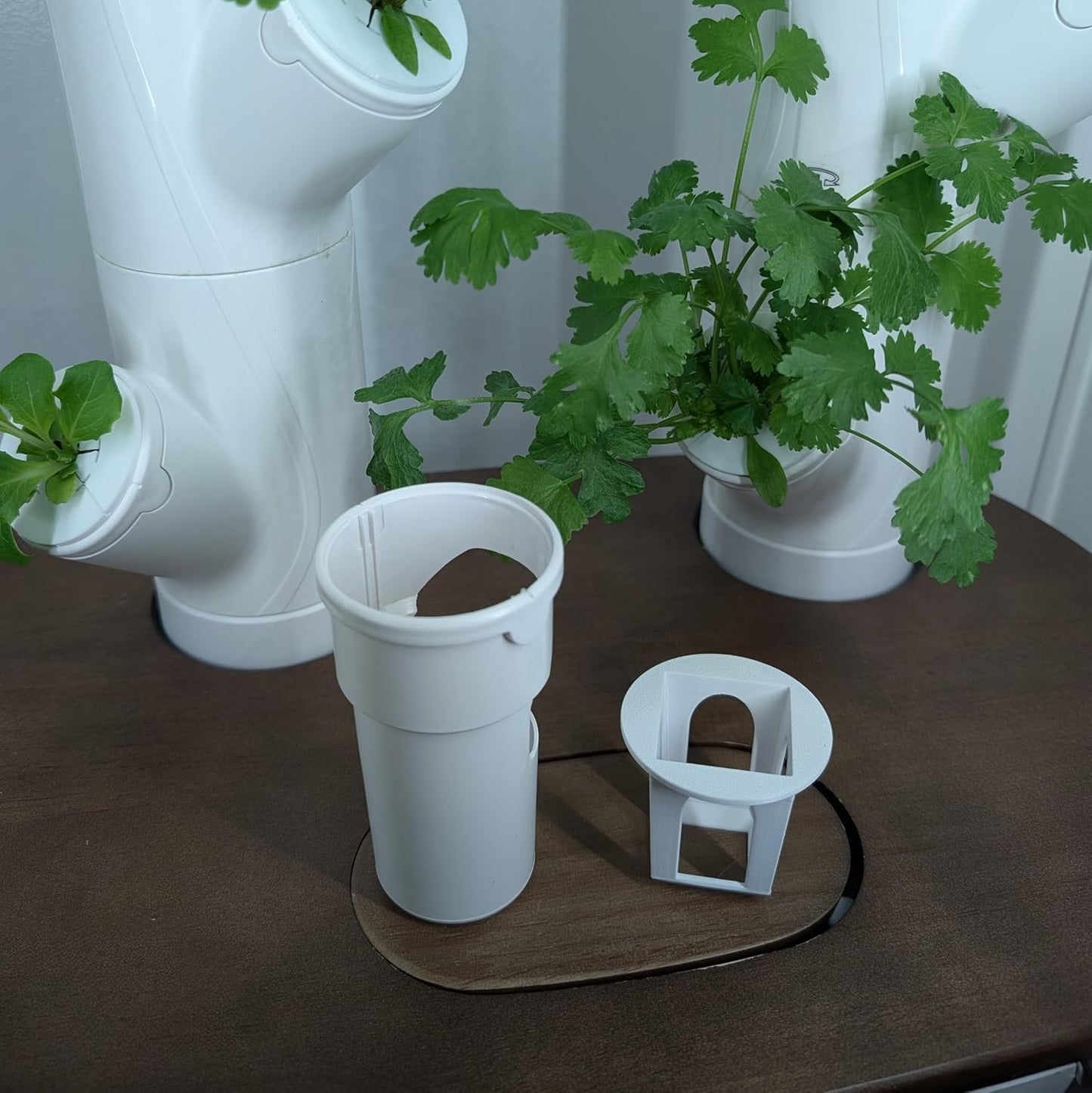 Grow Cubes for Hydroponic System/Compatible with Gardyn (10 Grow Cubes)