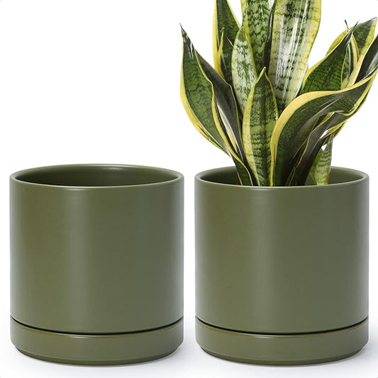 D'vine Dev Set of 2 Plants Pots, 6.5 Inch Ceramic Planter Pot for Plants with Drainage Hole and Saucer, Olive, 94-V-C-J
