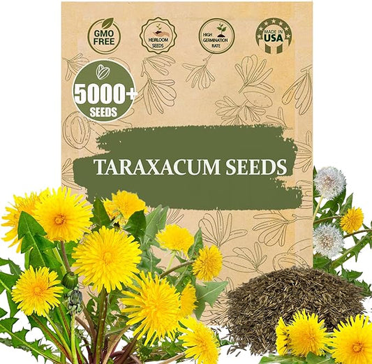 Premium Taraxacum Dandelion Seeds - 5000 Non-GMO Heirloom Purple-Stem Dandelion Seeds for Planting, Herbal Tea & Pollinators –Most Medicinal Variety (Taraxacum)