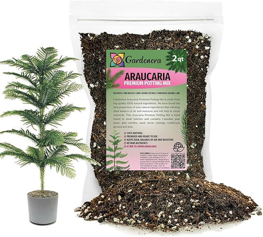 Premium Araucaria Potting Soil Mix - Perfect Balance of Nutrients, Drainage, and Aeration for Healthy Araucaria Trees - 2 Quart