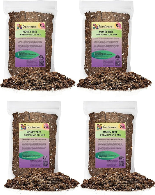 Money Tree Potting Soil - 20 Quart - Soil Mix for Planting or Repotting Guiana Chestnut, Soil Blended to Properly Grow Money Tree Plants (4 Bags of 5 Quart)