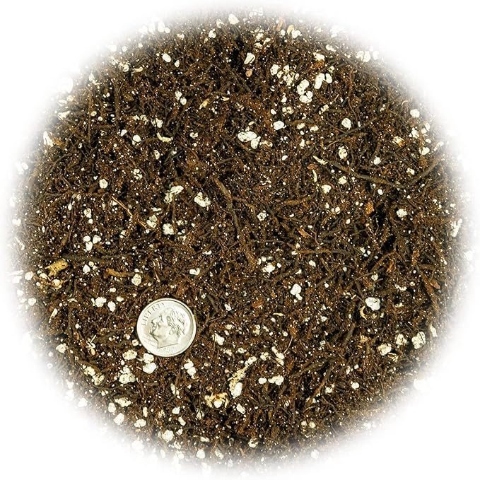 Fern + Perlite Soil Mix for Repotting and Planting Succulents and Cactuses - 3 Quart Bag