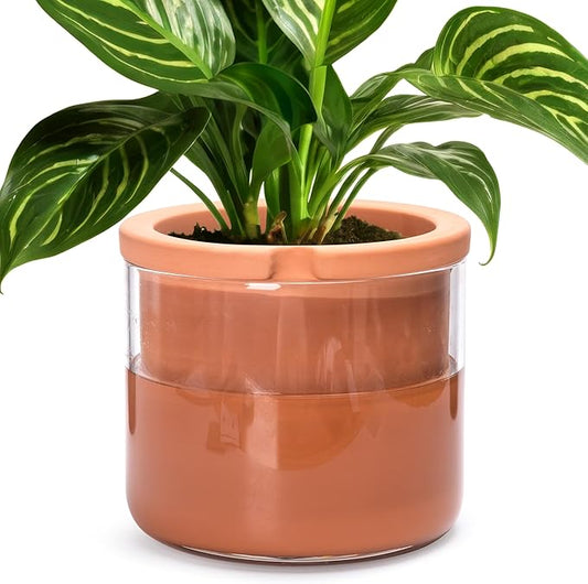 Phoenix Vine 8 Inch Self Watering Planter Pots, Design White Terracotta Pots for Plants, Indoor Cylinder Terra Cotta Pots with Glass Vase, Set of 1, 51-A-H-1