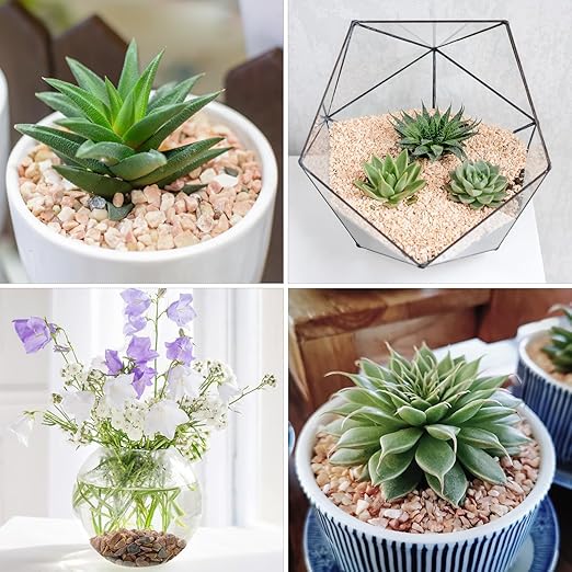 2lbs Peach Pebbles for Plants, 3/8inch Small Rocks, Natural Polished Pebbles, River Rocks for Succulent Cactus Plants, Vases, Aquariums, Gardening