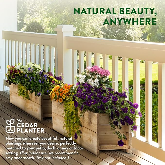 Greenes Fence Cedar Wood Planter Box with Wall Mount Brackets, 21" x 11" x 7" (2-Pack) - Made in USA with North American Cedar