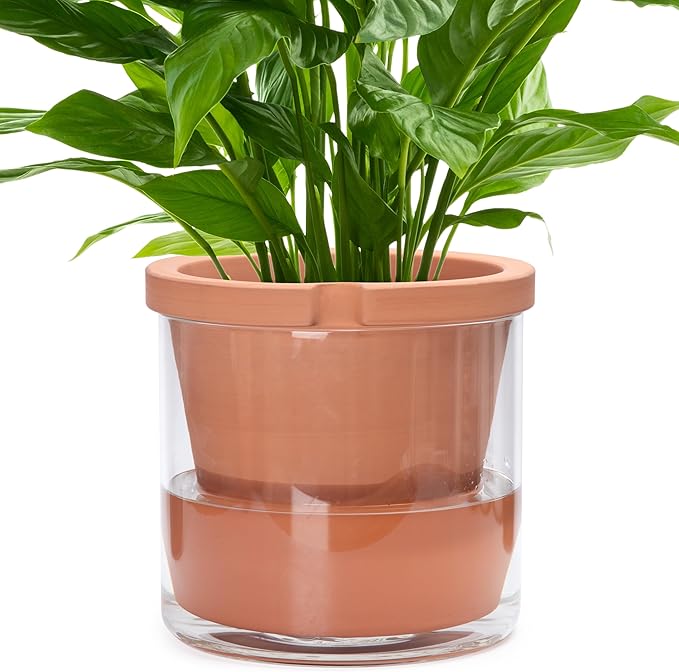 D'vine Dev 10 Inch Design Self Watering Pot for Indoor Plants, Terracotta Planter with Cylinder Glass Cup, Set of 1, 37-X-D-1