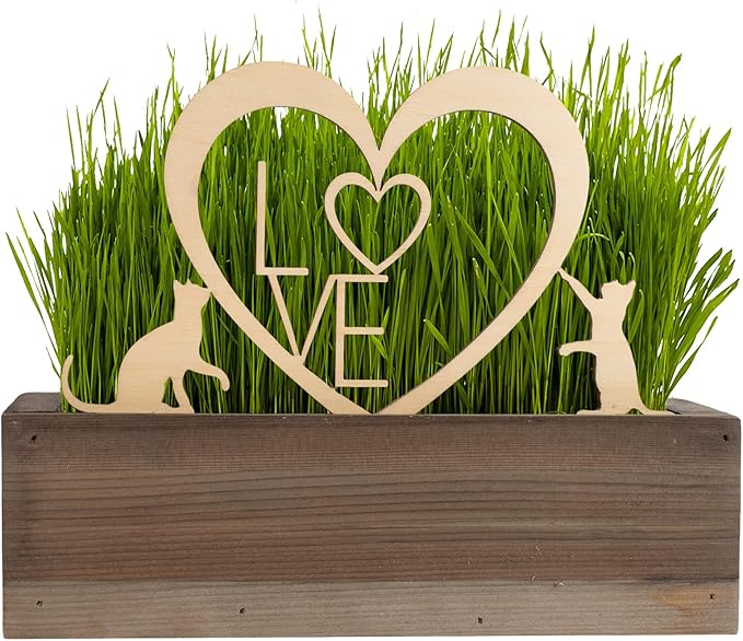 Cat Grass for Indoor Cats Kit – Limited Edition with Decorative Planter, Cat Trellis & Organic Seeds, Free Cat Toy & Catnip Spray for Ultimate Kitty Joy (AW)