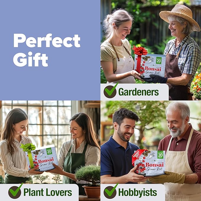 HOME GROWN Bonsai Tree Kit - Premium Ceramic Starter Kit - 4 Variety of Bonsai - Unique Gift for Men and Women Gardeners