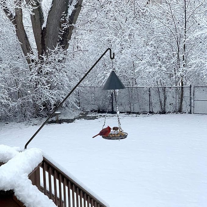 ERYTLLY Extended Reach Deck Hook Wall Pole Wall Mounted Deck Hook Extensible and 43 inch Wall Bracket for Hanging Bird Feeder,Plants,Wind Chimes,Lanterns 2 Packs